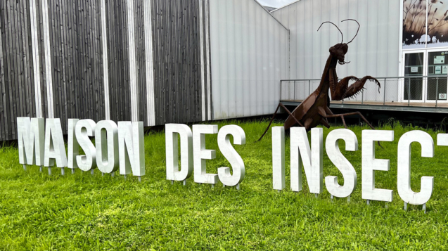 Réseaux Sociaux ArtPOP